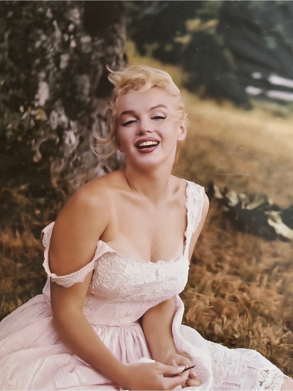 Marilyn Monroe 8x10 Photo Sitting Under A Tree